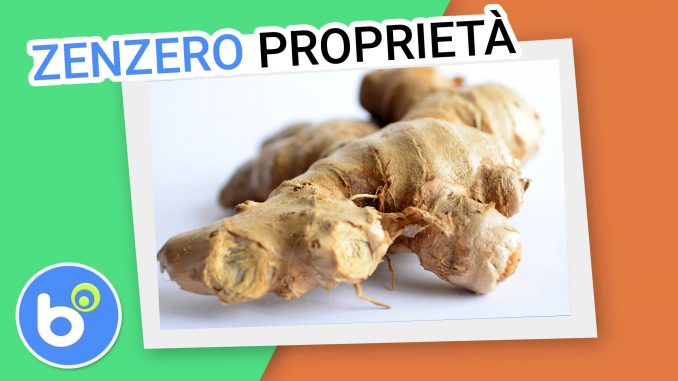 Zenzero: tutte le proprietà curative Zenzero: tutte le proprietà curative