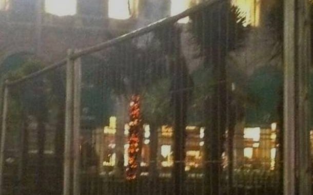 Palme bruciate a Milano individuati i responsabili Palme bruciate a Milano: individuati i responsabili