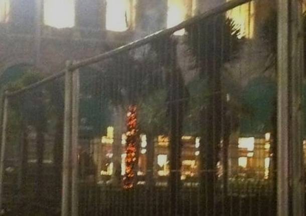 Palme bruciate a Milano individuati i responsabili Palme bruciate a Milano: individuati i responsabili