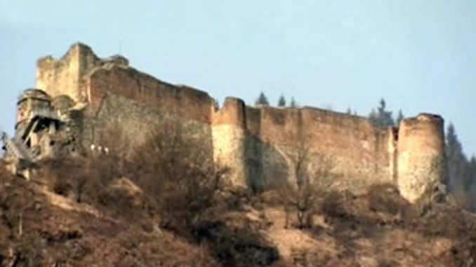 Poneari