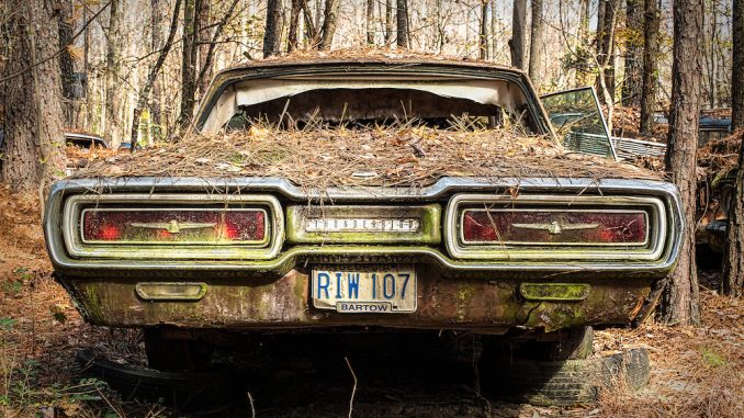 Vintage-Car-Graveyard-21