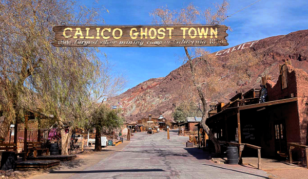 calico1