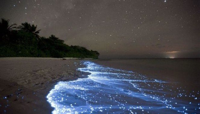 Eventi naturali rarissimi: avete mai visto la tempesta vulcanica? tempesta