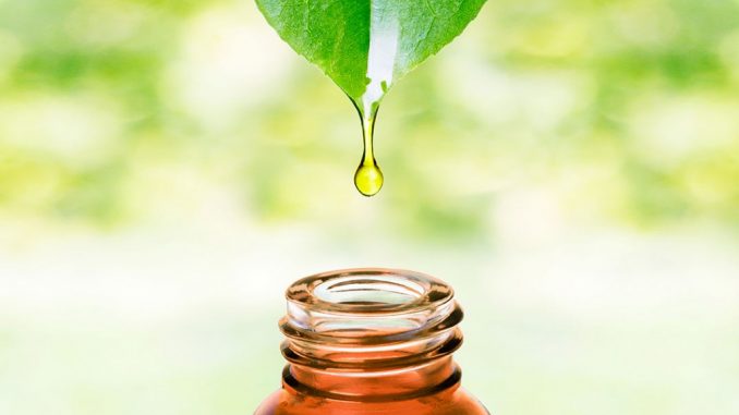 Cinque modi per usare il tea tree oil Cinque modi per usare il tea tree oil