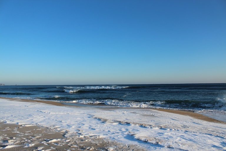 Mare Mare