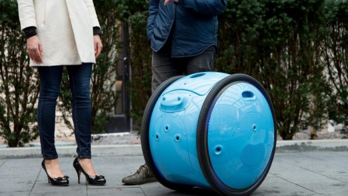 Gita (robot valigia): vantaggi e benefici Gita (robot valigia): vantaggi e benefici