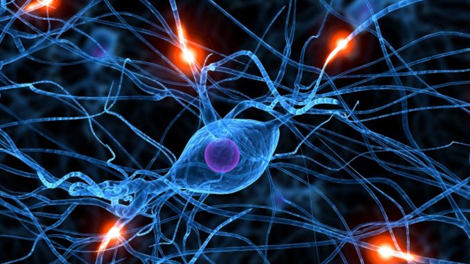 Ictus: avete solo un'ora di tempo per salvarvi. Che fare? Ictus: avete solo un'ora di tempo per salvarvi. Che fare?