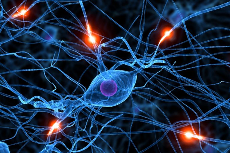 Ictus: avete solo un'ora di tempo per salvarvi. Che fare? Ictus: avete solo un'ora di tempo per salvarvi. Che fare?