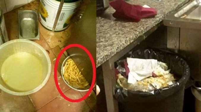 Scarafaggi in un ristorante cinese, la titolare Tanto sono morti Scarafaggi in un ristorante cinese, la titolare: 'Tanto sono morti'