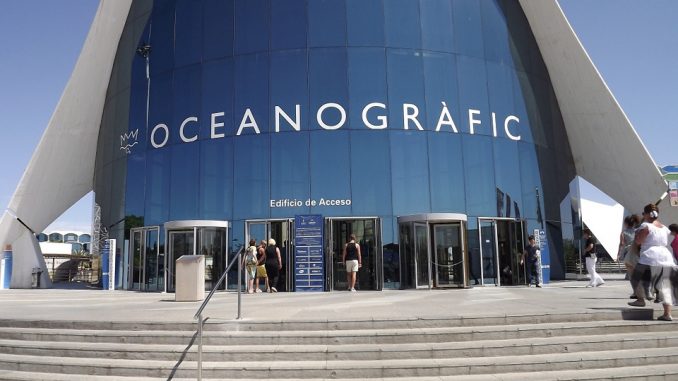 Valencia acquario oceanografico: prezzi Valencia acquario oceanografico: prezzi