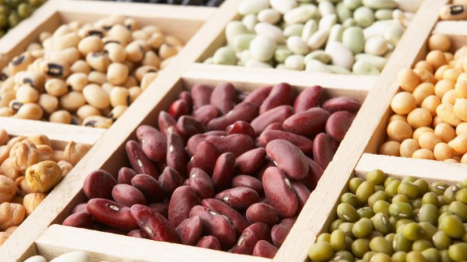 alimenti con estrogeni alimenti con estrogeni