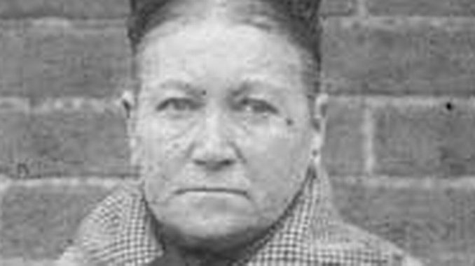 Amelia Dyer, la killer Vittoriana che uccise 400 bambini Amelia Dyer, la killer Vittoriana che uccise 400 bambini