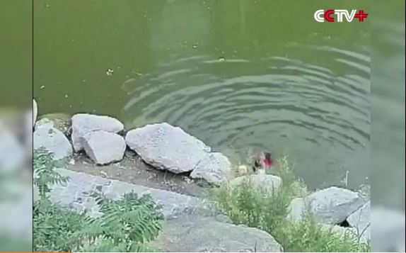 bimbe in acqua