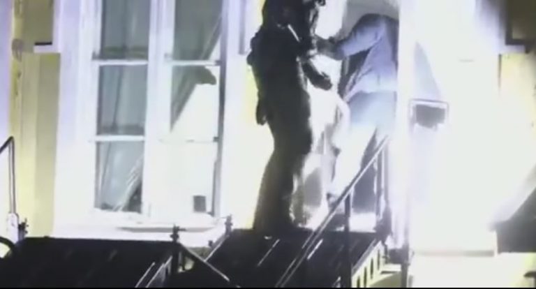 blitz svezia