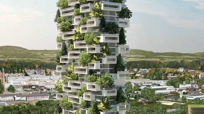 Asia, ecco come saranno le foreste del futuro Asia, ecco come saranno le foreste del futuro