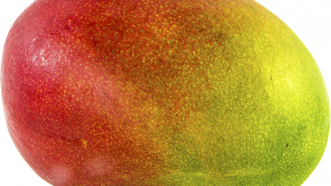 perché-il-mango-fa-bene-in-gravidanza perché il