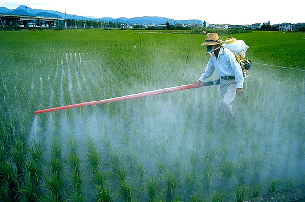pesticidi pesticidi