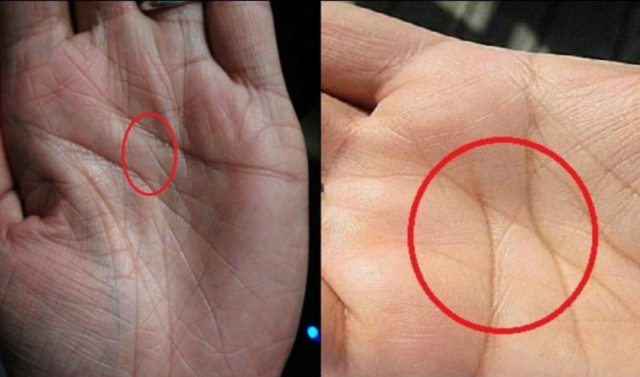 Le mani rivelano tantissimo di noi, su cosa abbiamo fatto, su che tipo di persona siamo e sul tipo di indole che possediamo, ma ci sono dei segni che solo pochissimi hanno.