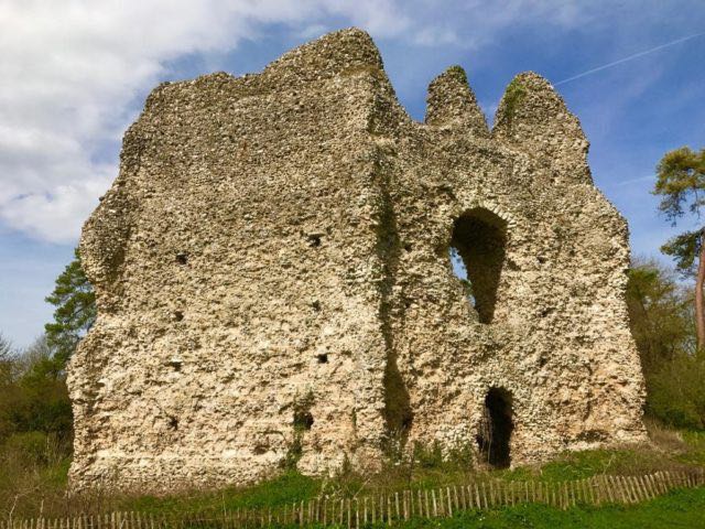 Il-castello-di-Odiham-in-Hampshire-04