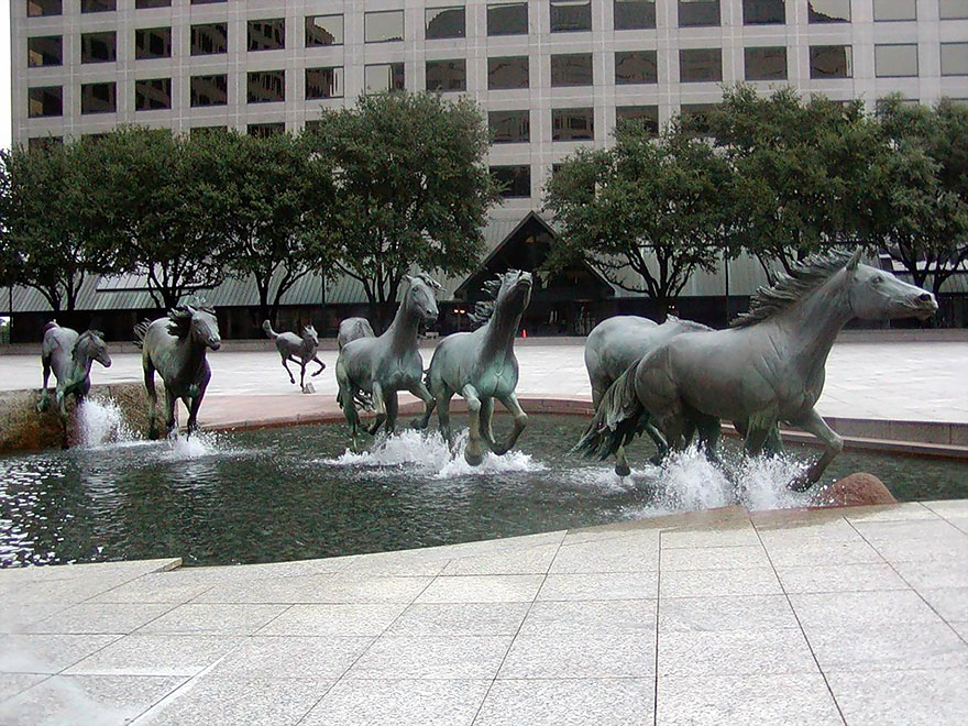 Mustangs-Robert-Glen