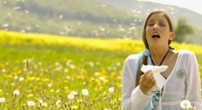Allergia ai pollini: come si cura Allergia ai pollini: come si cura