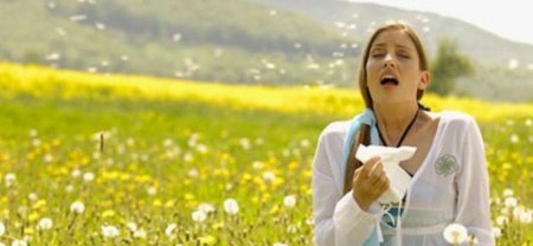 Allergia ai pollini: come si cura Allergia ai pollini: come si cura