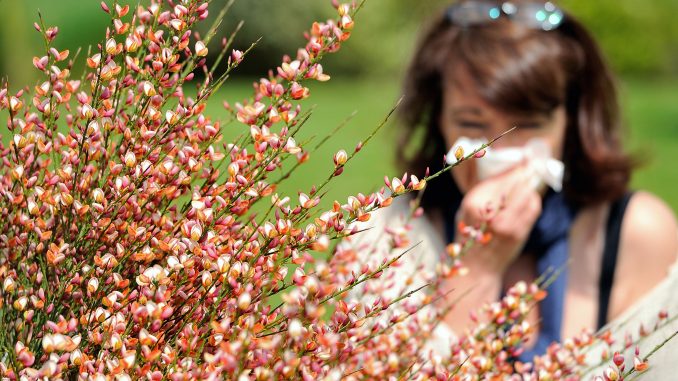 Allergia ai pollini e prurito alla pelle: cosa fare Allergia ai pollini e prurito alla pelle: cosa fare
