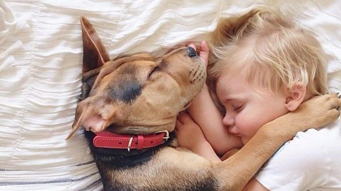 Bambino fa un peto: cane reagisce in maniera esilarante bambino