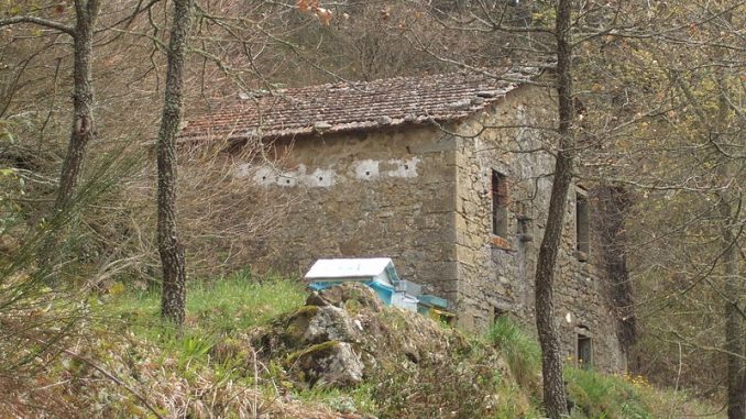 Case abbandonate Casa abbandonata