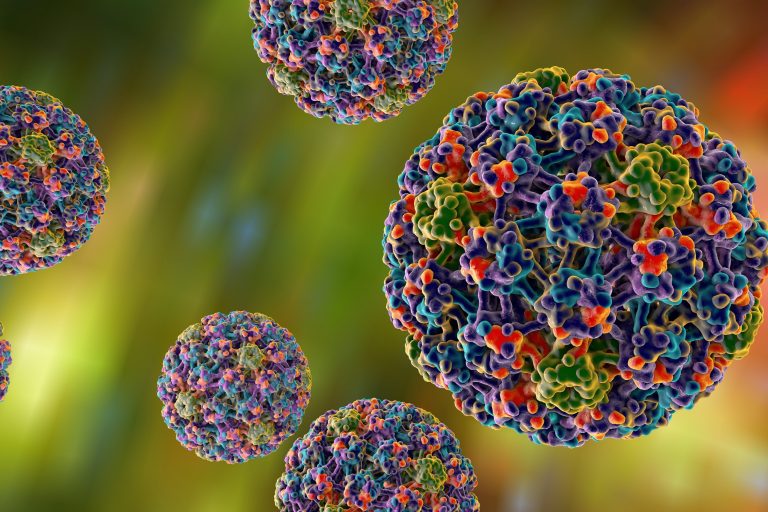PAPILLOMA VIRUS. PAPILLOMA VIRUS.