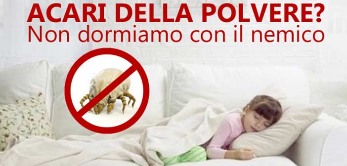 acari-letto Acari nel letto