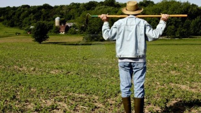 Partita Iva per imprenditori agricoli: come fare per aprirla Partita Iva per imprenditori agricoli: come fare per aprirla