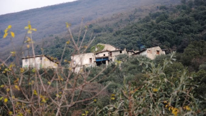 Lago di Garda Il borgo dietro alla vegetazione