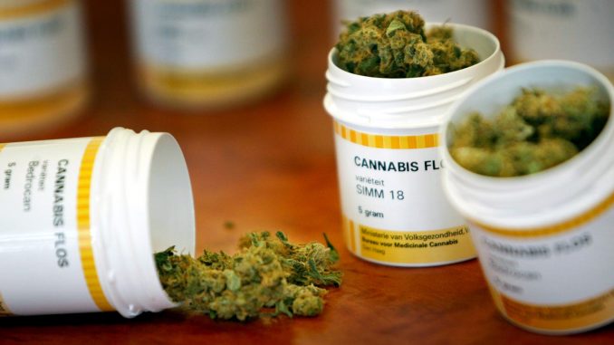 CANNABIS IS MEASURED INTO CONTAINERS IN A PHARMACY IN ROTTERDAM. Ministero della Salute