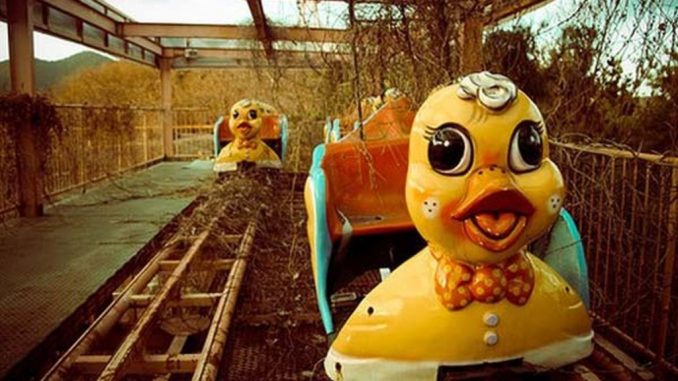 duck