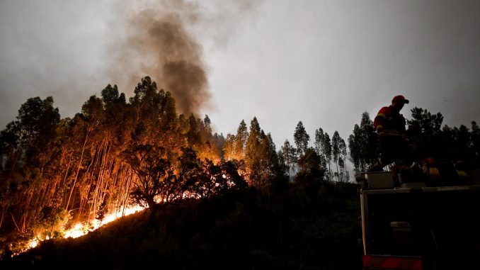 Incendio Portogallo Incendio in Portogallo