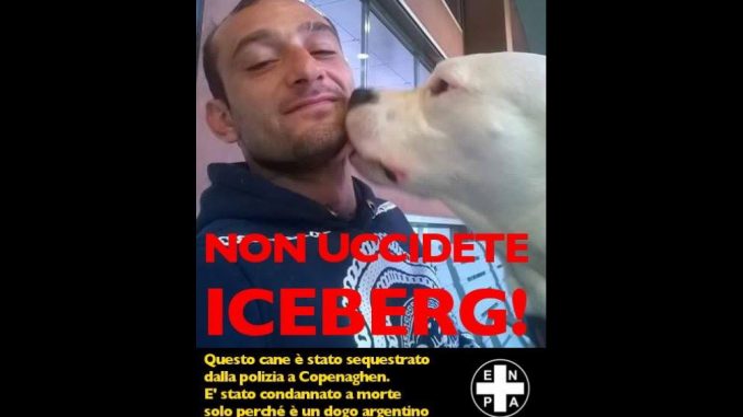 iceberg Iceberg