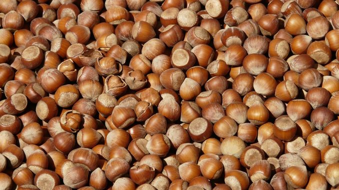 nocciole nocciole
