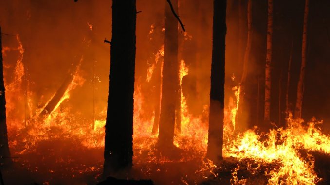 Incendi, continuano i roghi in Costa azzurra: 12 mila persone evacuate