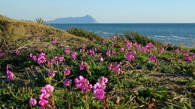 Sabaudiadune Vista