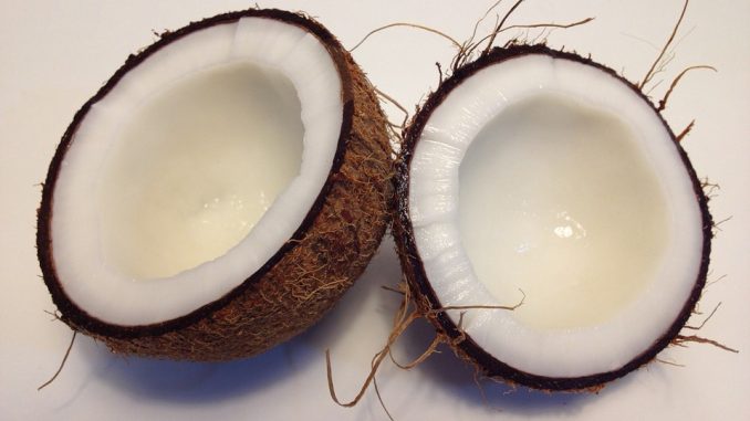 coconut-1771527_960_720