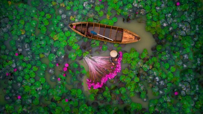 immagine drone