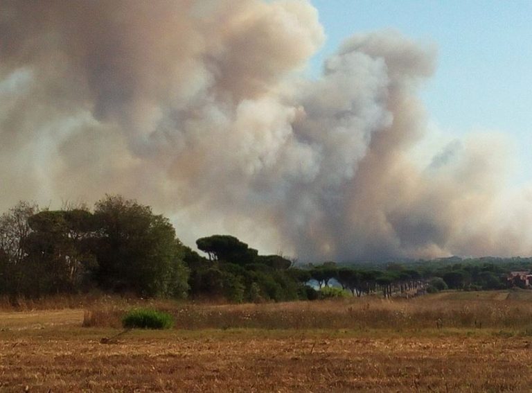incendio pineta ostia incendio pineta ostia