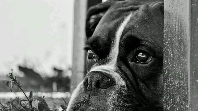 grace