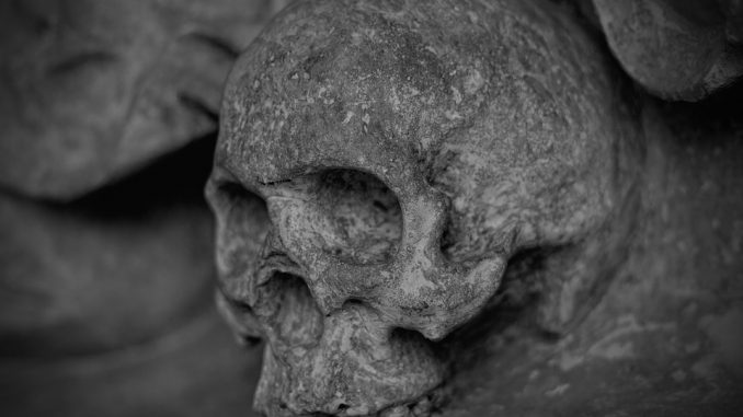 skull-and-crossbones-77949_960_720 Nazino