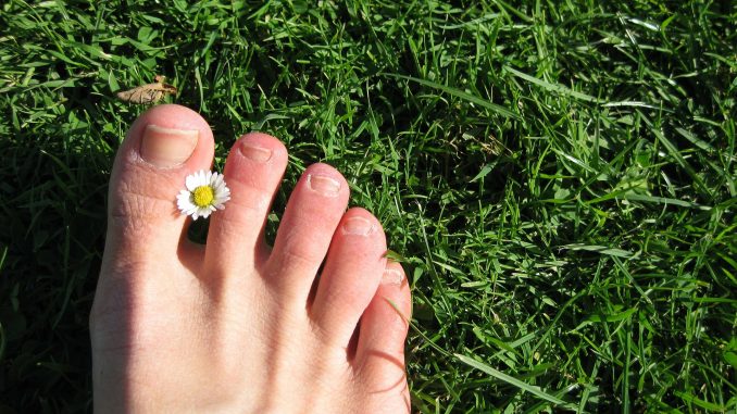 unghie dei piedi unghie dei piedi