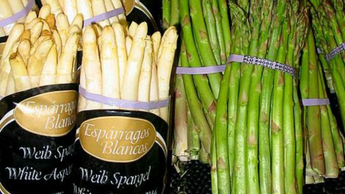 Asparagi preparazione e valori nutrizionali nutrizionali