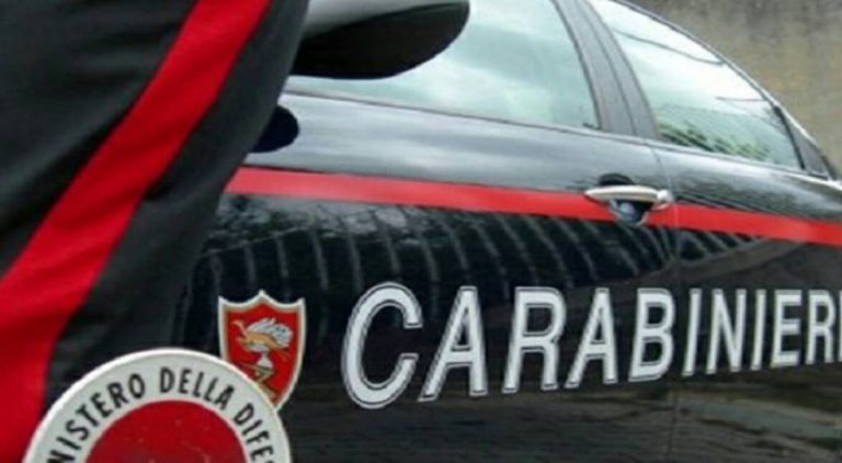 'Ndrangheta, operazione contro i Piromalli: sette fermi 'Ndrangheta, operazione contro i Piromalli: sette fermi