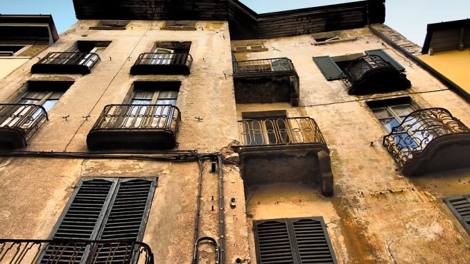 Padrona va in vacanza, cane morto terrazzo Padrona va in vacanza, cane morto terrazzo