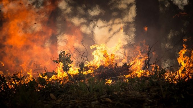 Rogo in un campo, 79enne muore tra le fiamme nel teramano Rogo in un campo, 79enne muore tra le fiamme nel teramano